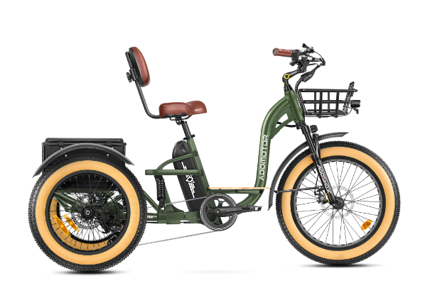 750W Rear Motor Electric Trike with Full Suspensions